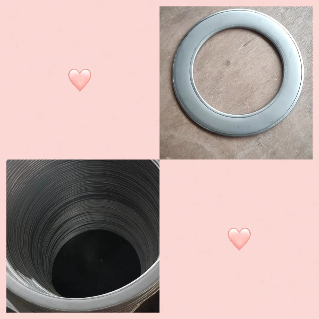 Double Jacketed Plain Gasket